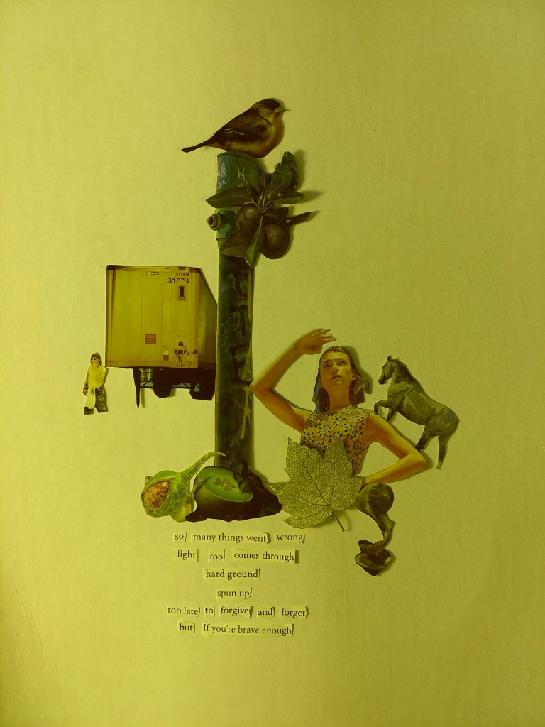 Vispo collage by James Diaz - woman, leaves, bird, horse, back of a truck etc and words :
so many things wrong
light too comes through
hard ground
spun up
too late to forgive and forget
but If you’re brave enough