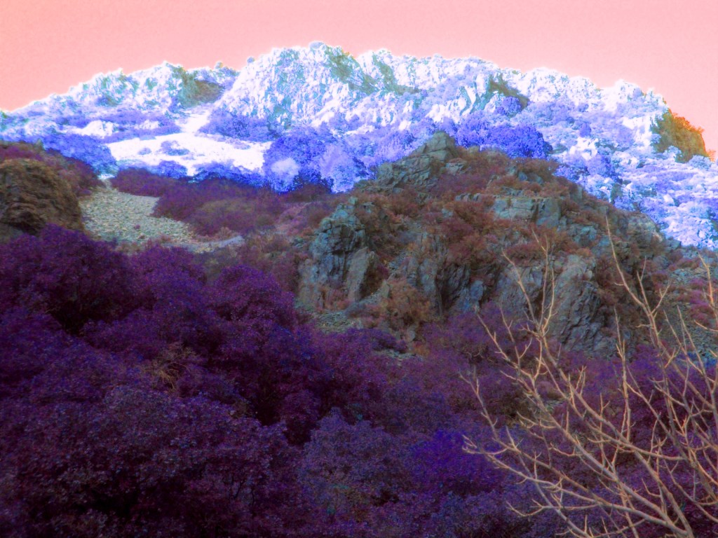 Michael Shoemaker, Ascending Mountain Dreamscape