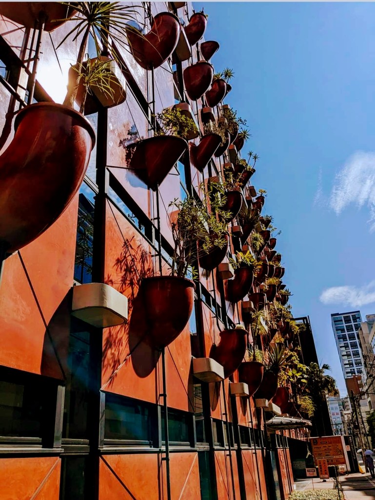 street photo by Rachel Turney, modern wall with plants