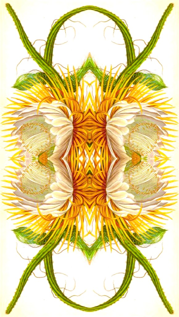 flower collage by bill wolak